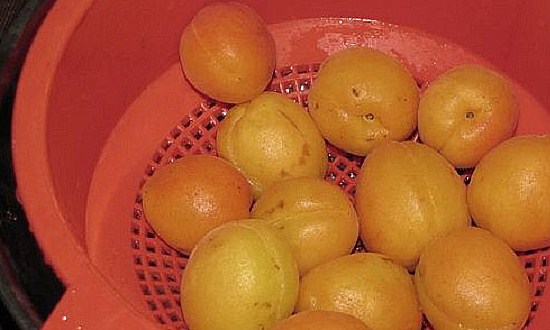 промыть и обсушить абрикосы