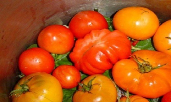 промываем и перебираем помидоры