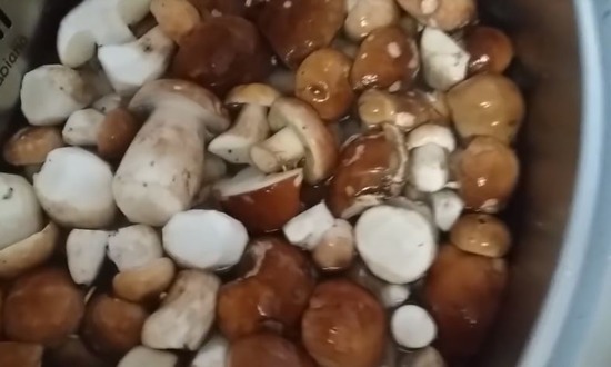 Чистим, моем грибы
