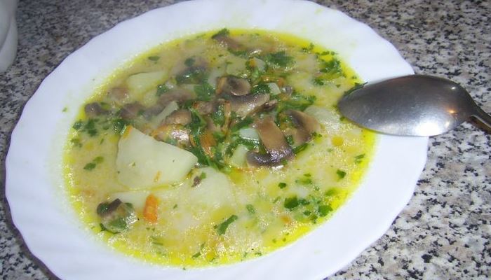 Сырный суп из плавленого сыра с курицей и шампиньонами