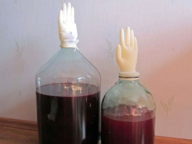 Вино из винограда своими руками — рецепт приготовления в домашних условиях